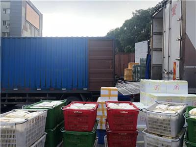 深圳冷链运输货物出口中国香港物流
