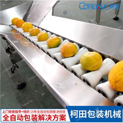 厂家直销 脐橙包装机 全自动上料橙子包装机械 定制款水果套袋机