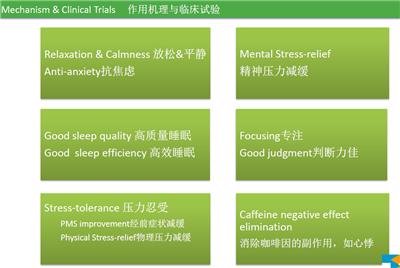 太阳绿宝L-茶氨酸TH20促睡眠