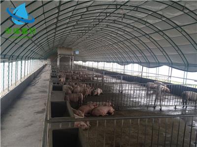 吉林养猪棚建设厂家 育肥猪搭建成本 猪舍造价