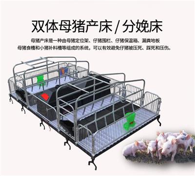 高牧畜牧养殖设备直销产床、限位栏、定位栏