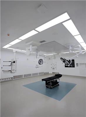 百级层流手术室造价 支持上门操作