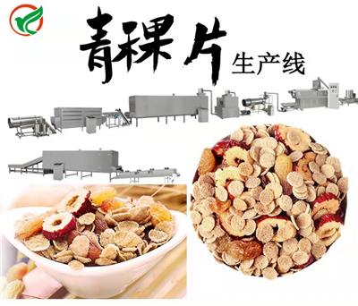 林阳早餐谷物青稞片生产设备