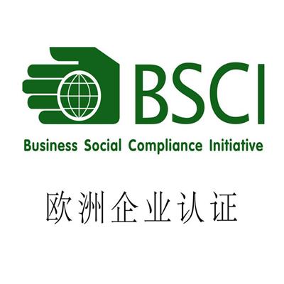 肇庆BSCI认证办理流程 珠海市裕振企业管理顾问有限公司
