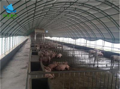 养猪大棚搭建 建设养猪棚 养牛棚搭建成本