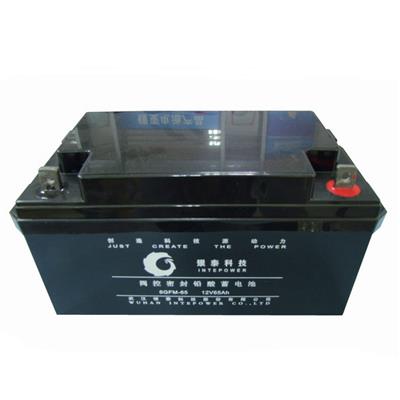 银泰蓄电池6GFM-65 12V65AH 武汉银泰铅酸免维护蓄电池UPS**