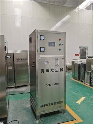上海板式臭氧发生器价格 臭氧消毒机