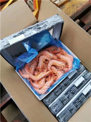 宁波进口冷冻海鲜肉类核酸检测时间可*