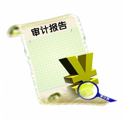 一对一服务 上海无形资产评估审计报告范文