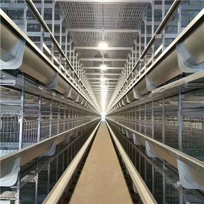 长沙蛋鸡笼厂家 自动化蛋鸡养殖笼 养鸡设备