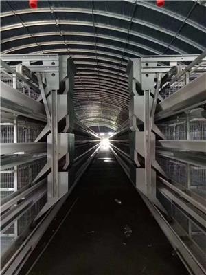 郑州自动化蛋鸡笼定制 蛋鸡笼 自动化养殖鸡设备多层育雏笼