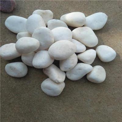 供应白色石米 白色碎石 白色水磨石地面石子 3-6毫米 6-9毫米