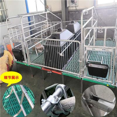 现代化养殖设备母猪产床 产保一体单体双体产床
