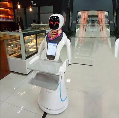 漳州迎宾机器人设计 接待机器人 现货直销