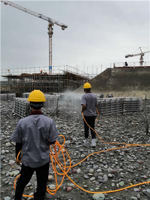 都江堰防治白蚁 多年消杀经验