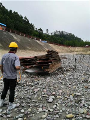 遂宁企业除虫 上门除虫 行业经验丰富