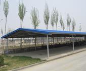 忻州五台温室花棚菜棚 畜牧养殖遮阳雨蓬 厂家生产