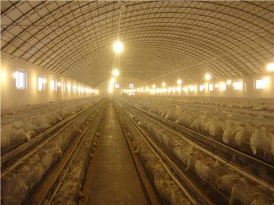 中烁环保科技-养鸡舍喷雾除臭消毒设备