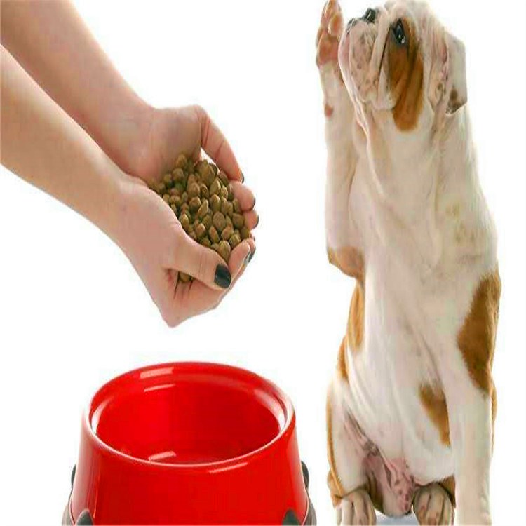 小型狗粮制作设备 好用的宠物饲料机器电话 膨化设备电话