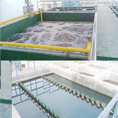 厦门重金物废水处理设备价格 机械制造重金物废水处理设备