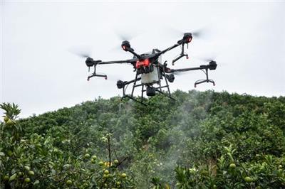 广西省贺州市提供大疆T20农业植保无人机打药服务