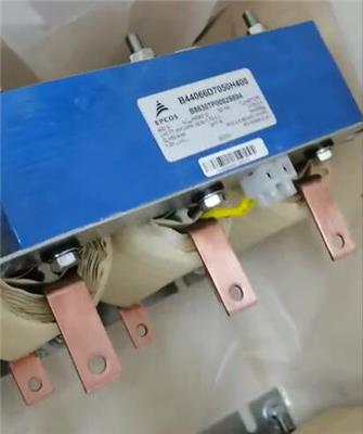 EPCOS 原装进口电抗器B44066D7025S400