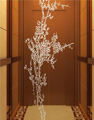 亳州别墅家用电梯厅门装饰厂家-弗莱曼电梯