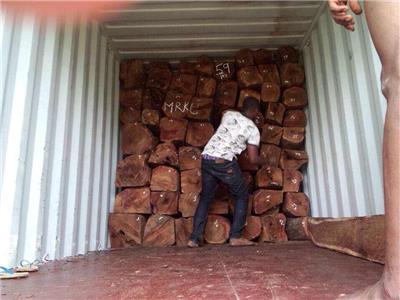 黄埔大码头原木进口报关时效 广州代理东南亚木材进口