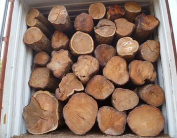 黄埔大码头木材进口报关流程 黄埔港一般贸易代理进口非洲木材