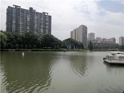 上海城市黑臭水体治理工程技术底质改良剂