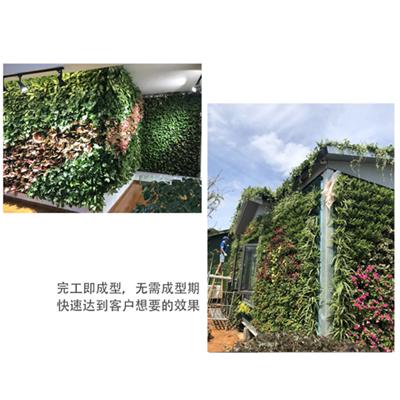 垂直绿化蜂巢植物盒规格 厂家直销