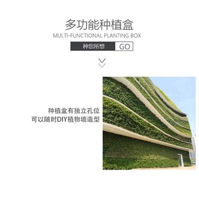 台州垂直绿化蜂巢植物盒 植物墙 厂家直销