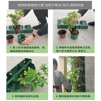 天津全新植物墙容器 立体花盆