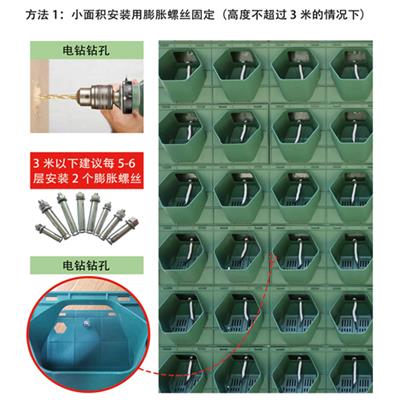 郑州定制植物墙容器 植物墙植物