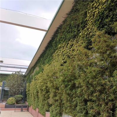 深圳定制植物墙容器 生态墙