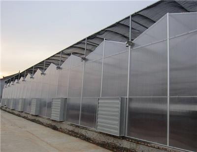 南京阳光板温室工程承接 工程建设