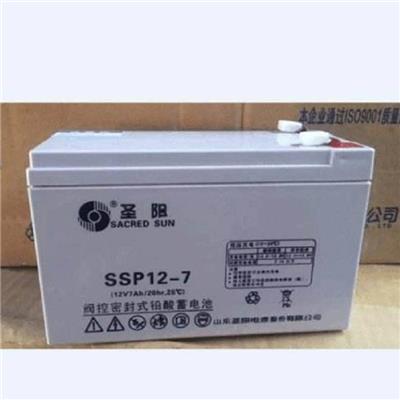 圣阳SP12-65 铅酸免维护蓄电池