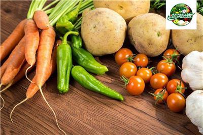 食堂蔬菜配送如何选择放心？