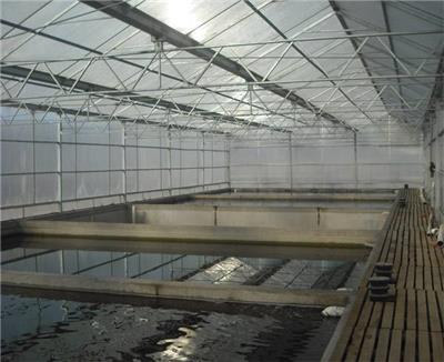 鸡西水产品养殖大棚规划 工程承接