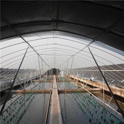 菏泽水产品养殖大棚造价 高效施工