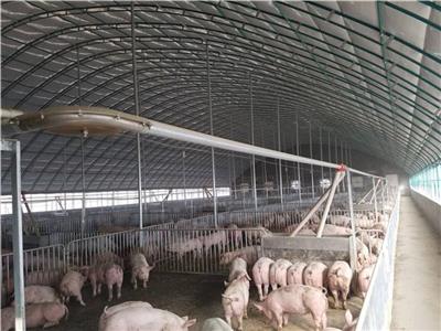 鄂尔多斯畜牧养殖温室建设 造价预算