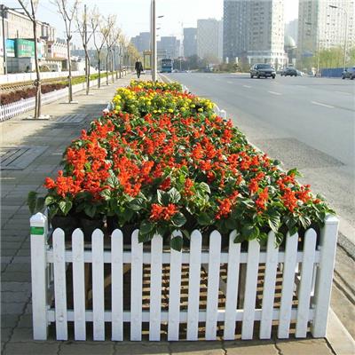 芜湖市城市绿化草坪护栏 花园景观pvc草坪围栏
