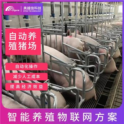 新型养猪 互联网养猪软件 中国养猪网