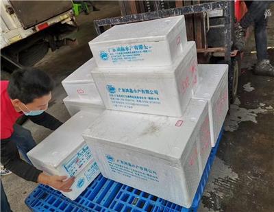 冰鲜鱼运输出口中国香港物流