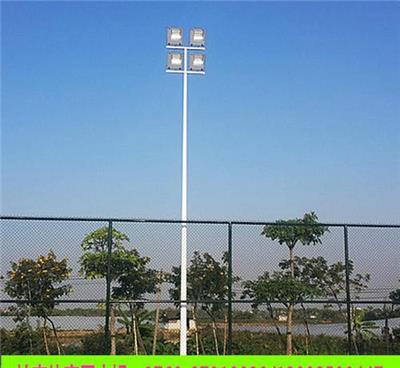 灯杆8米 河池足球场照明灯杆定制 欢迎来电咨询