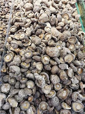 莞城企業(yè)食材配送的幾種運(yùn)輸方法？