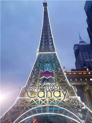 世界名着巴黎铁塔定制 埃菲尔铁塔价格优惠出售