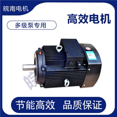 南昌皖南电机销售处 多级泵电机 品质保证