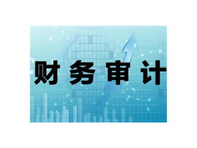 安徽净资产审计 上海辉湃企业管理供应