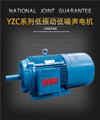 特种电机图片 YZC系列低振动低噪声三相异步电动机 总代理